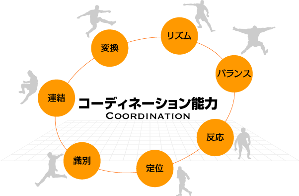 コーディネーション能力