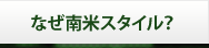埼玉サッカースクールはなぜブラジルスタイル？